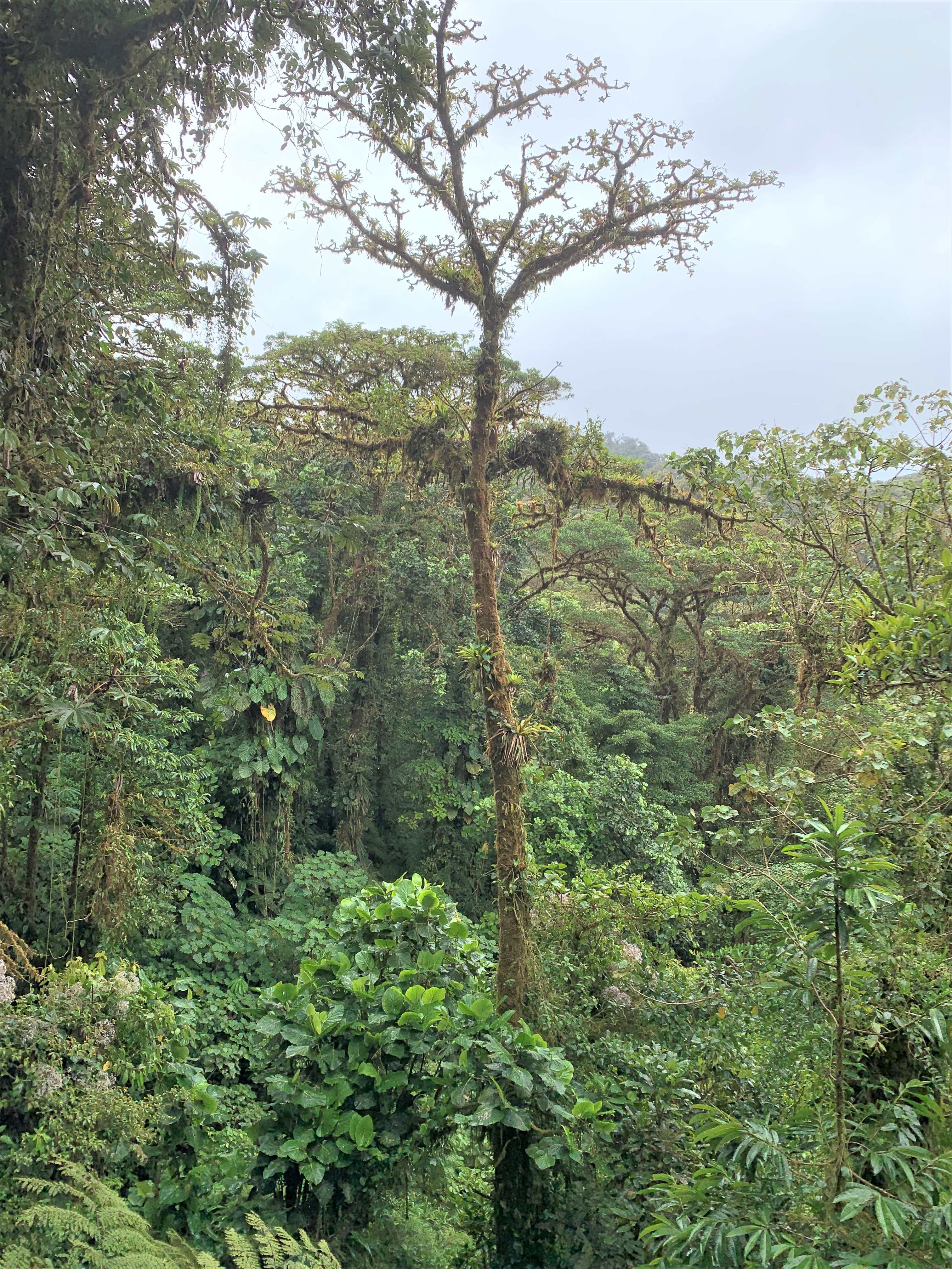 Costa Rica